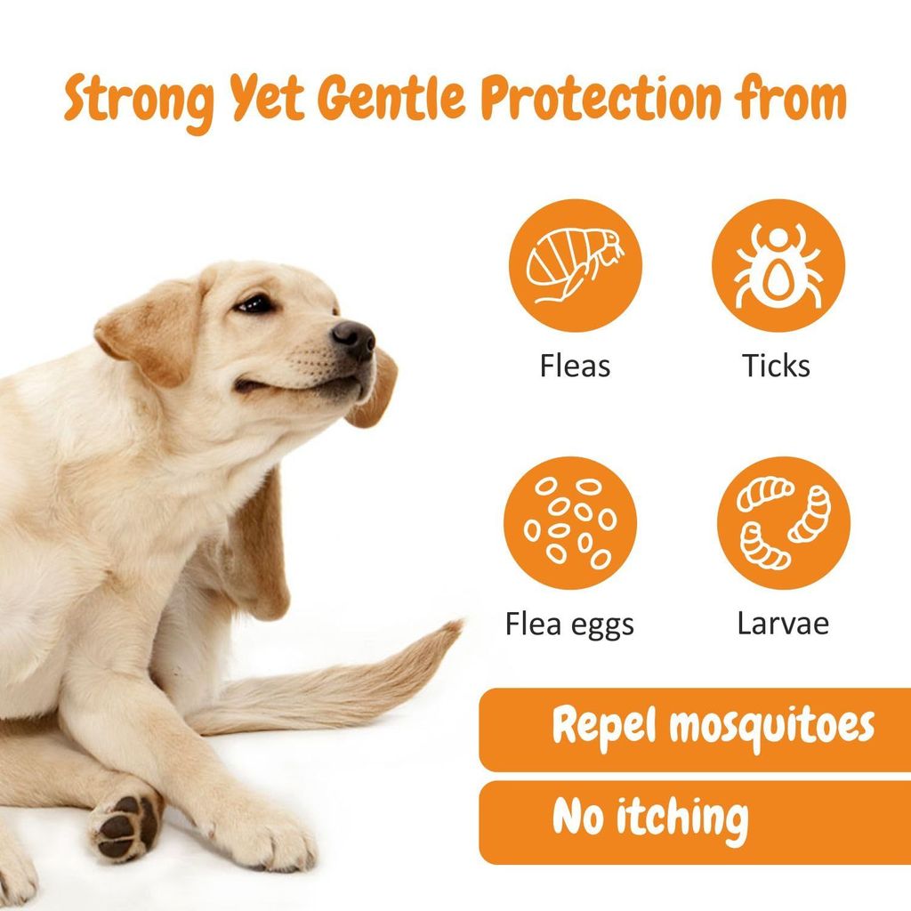 Trespaws Tick & Flea Dog Spray - 100% Natural - Natural Tick & Flea Spray for Dogs and Cats, Gentle on Skin, ensures Healthy Coat in Dogs & Cats 200ml