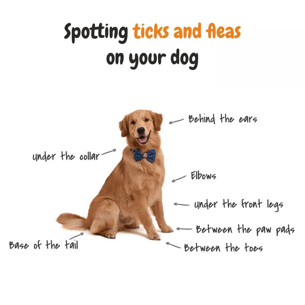 Trespaws Tick & Flea Dog Spray - 100% Natural - Natural Tick & Flea Spray for Dogs and Cats, Gentle on Skin, ensures Healthy Coat in Dogs & Cats 200ml