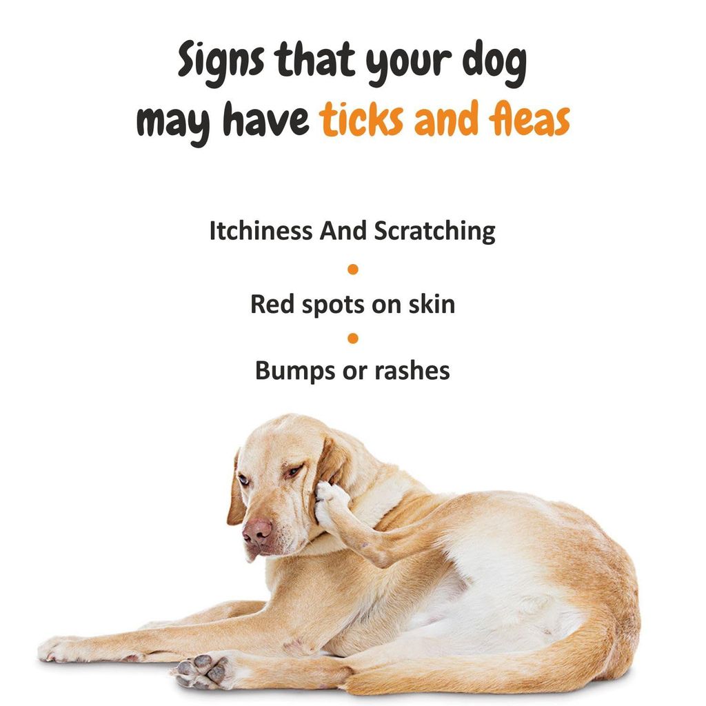 Trespaws Tick & Flea Dog Spray - 100% Natural - Natural Tick & Flea Spray for Dogs and Cats, Gentle on Skin, ensures Healthy Coat in Dogs & Cats 200ml