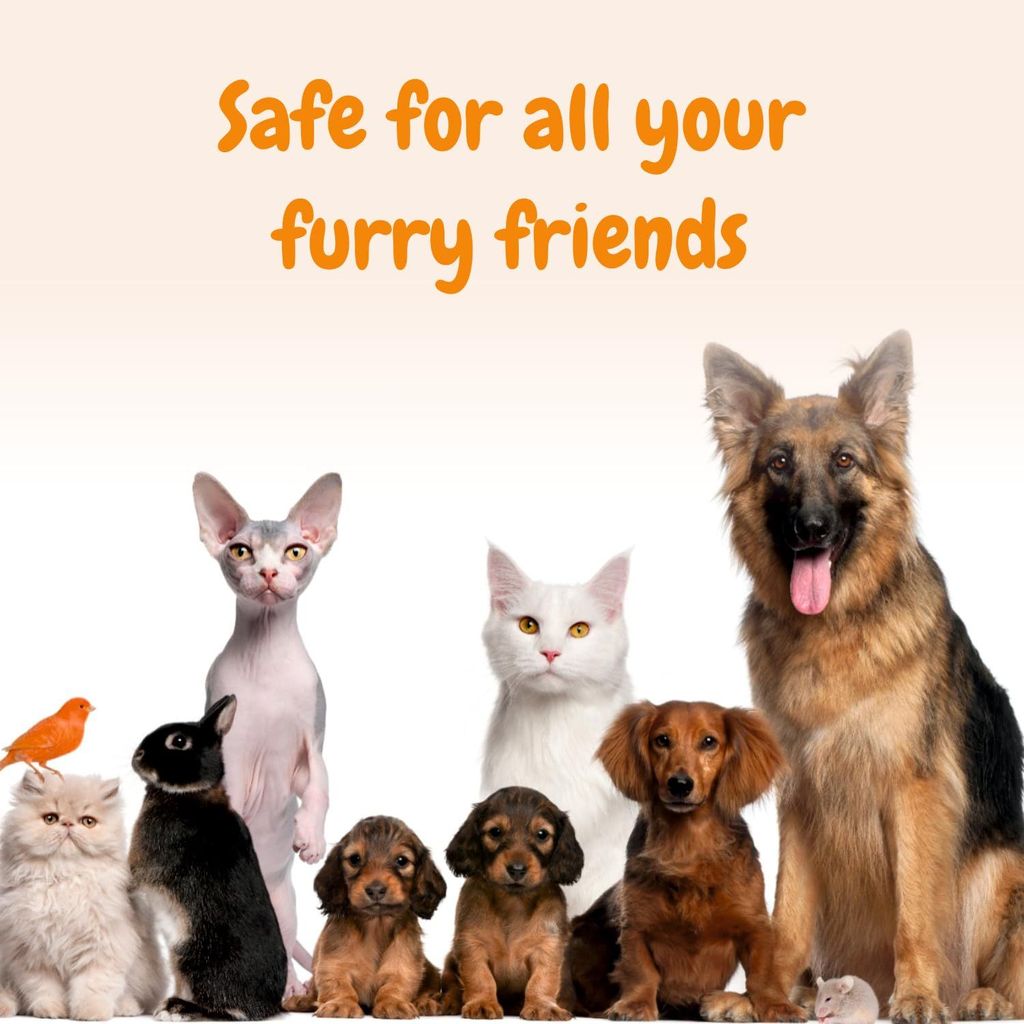 Trespaws Dog Paw Cleaner for Dogs and Cats,Magic Foam - Clean Paws No-Rinse Foaming Cleanser-Dry Shampoo, Silicone Brush for Dogs Cats Feet Cleaning - 120ml