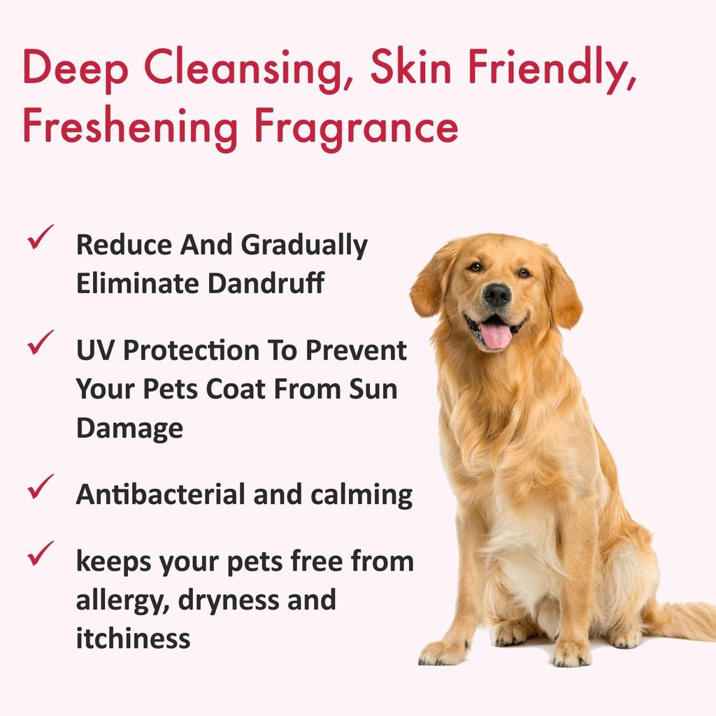 Bscly Anti Dandruff Dog Shampoo with Activated Charcoal & Aloe | Dog Shampoo for Pomeranian, Shih tzu Puppy, German Shepherd, Labrador & Golden Retriever, Dogs Shampoo - 200ml