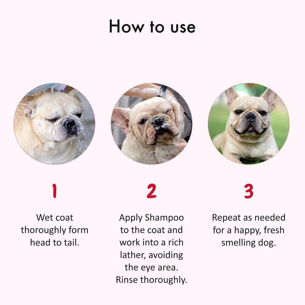 Bscly Anti Dandruff Dog Shampoo with Activated Charcoal & Aloe | Dog Shampoo for Pomeranian, Shih tzu Puppy, German Shepherd, Labrador & Golden Retriever, Dogs Shampoo - 200ml