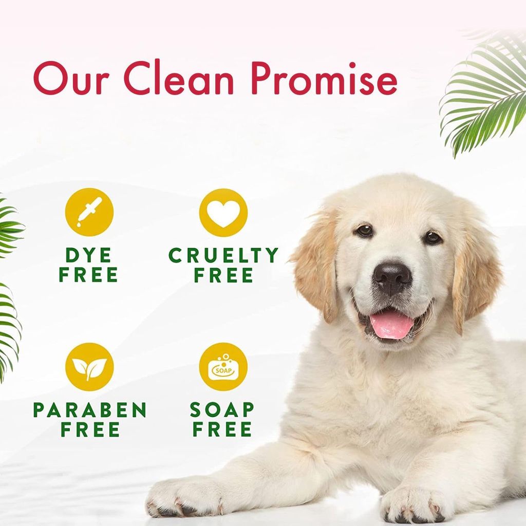 Bscly Anti Dandruff Dog Shampoo with Activated Charcoal & Aloe | Dog Shampoo for Pomeranian, Shih tzu Puppy, German Shepherd, Labrador & Golden Retriever, Dogs Shampoo - 200ml