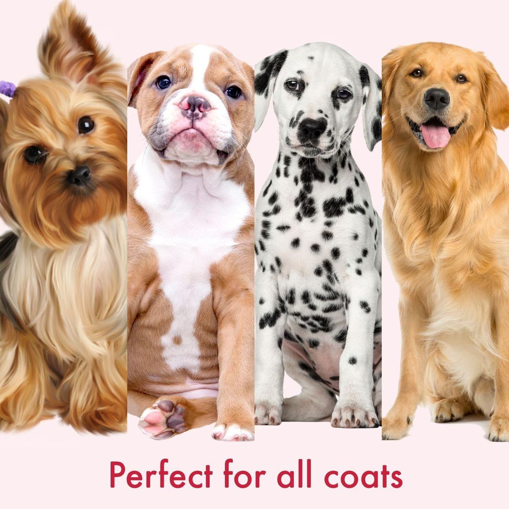 Bscly Anti Frizz Dog Shampoo with Tea Tree Oil & Aloe Vera - 200ml | Dog Shampoo for Pomeranian, Shih tzu Puppy, German Shepherd, Labrador & Golden Retriever, Dogs Shampoo