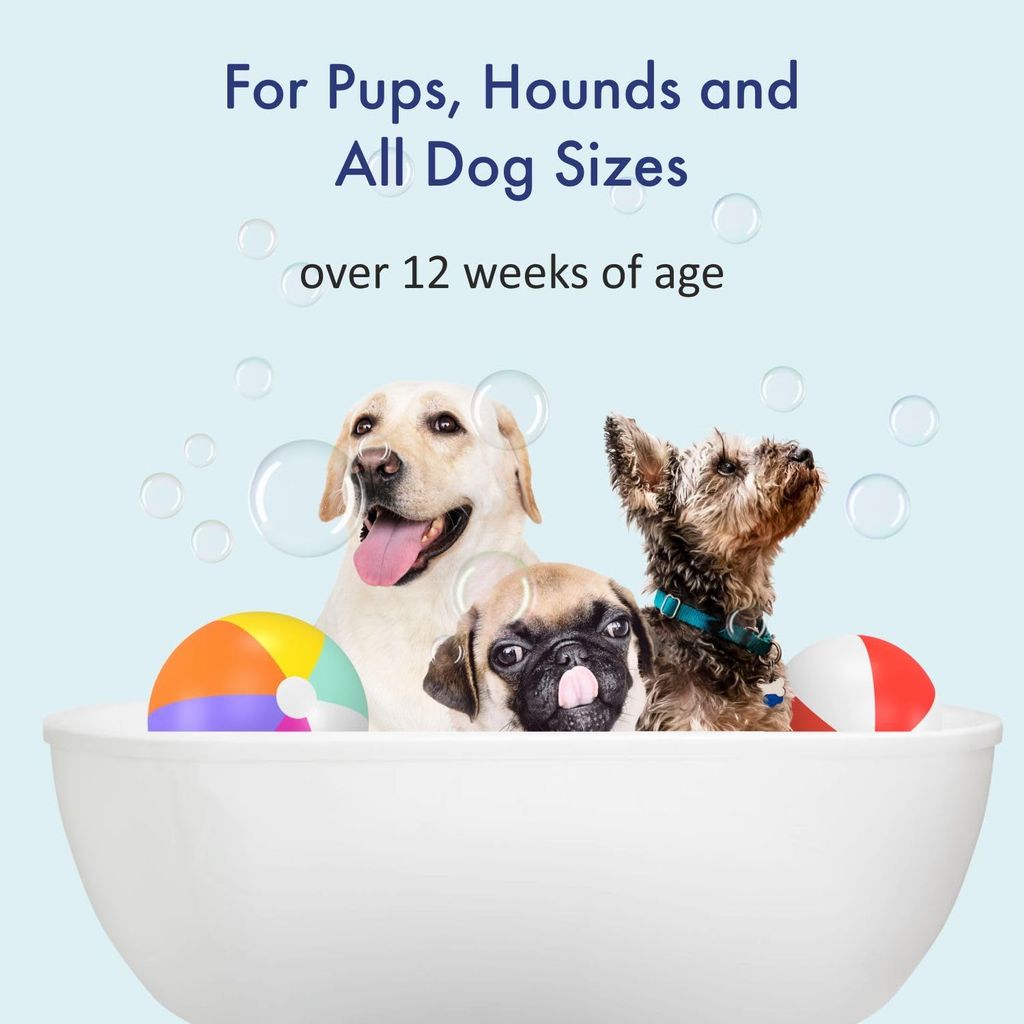 Bscly Soothing Dog Shampoo with Argan Oil & Olive Oil | Dog Shampoo for Pomeranian, Shih tzu Puppy, German Shepherd, Labrador & Golden Retriever, Dogs Shampoo | 200ml