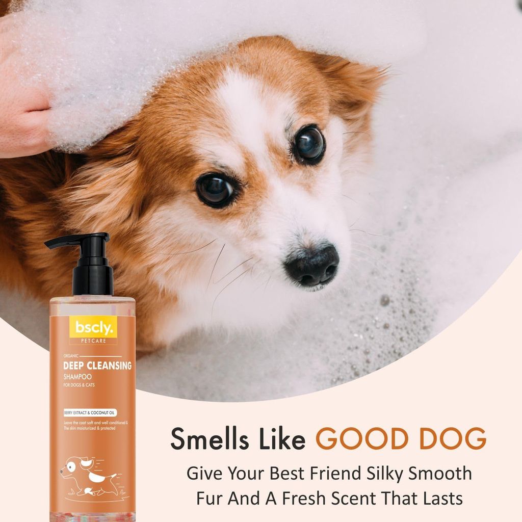 Bscly Deep Cleansing with Berry Extract & Coconut Oil | Dog Shampoo for Pomeranian, Shih tzu Puppy, German Shepherd, Labrador & Golden Retriever, Dogs Shampoo - 200ml