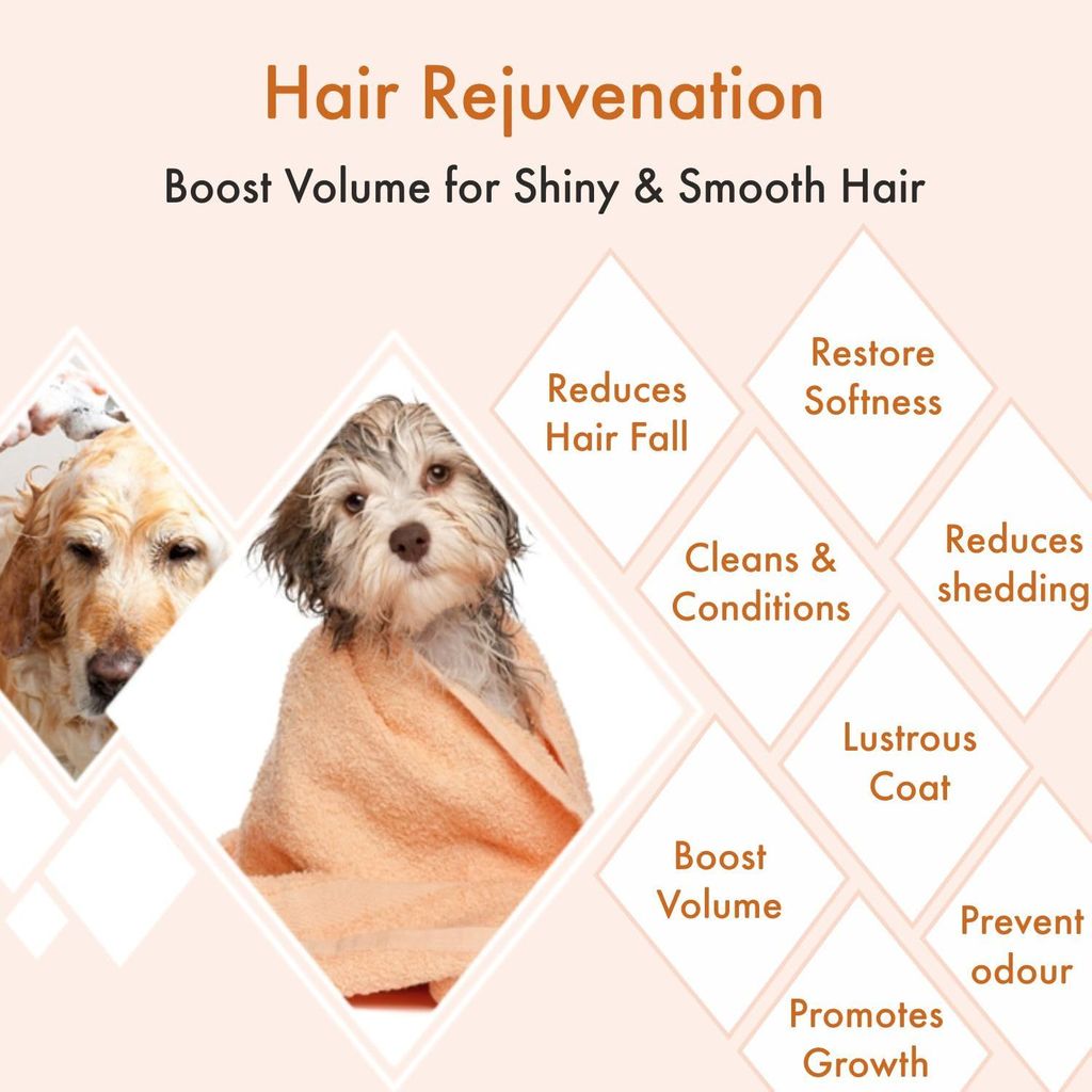 Bscly Volume & Shine with Argan & Olive Oil | Dog Shampoo for Pomeranian, Shih tzu Puppy, German Shepherd, Labrador & Golden Retriever, Dogs Shampoo | 200ml