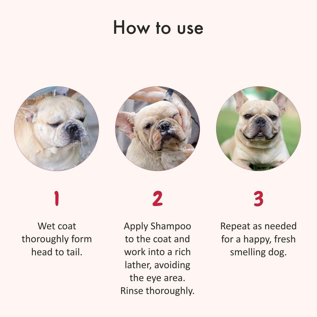 Bscly Organic Deshedding Dog Shampoo with Lime & Coconut Oil | Dog Shampoo for Pomeranian, Shih tzu Puppy, German Shepherd, Labrador & Golden Retriever, Dogs Shampoo | 200ml