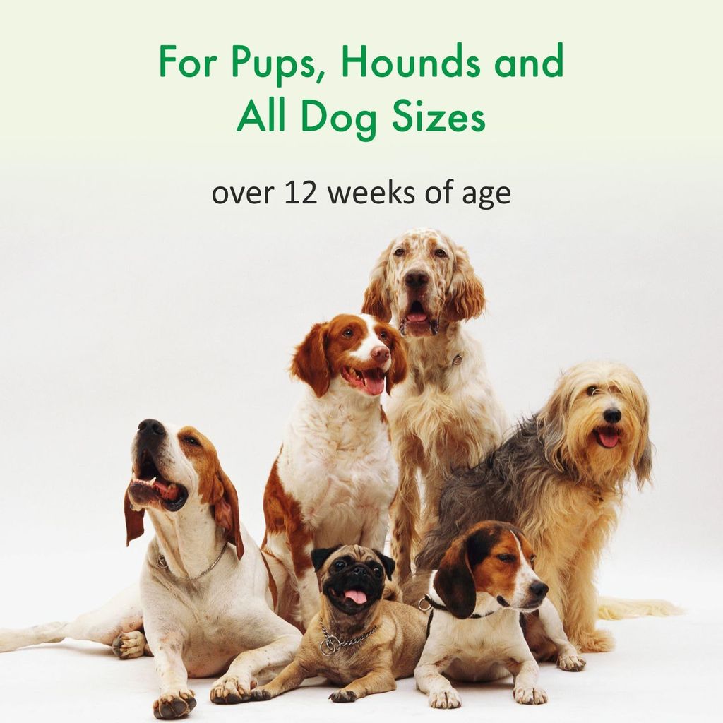 Bscly Deep Nourish Dog Shampoo with Oatmeal & Shea Butter | Dog Shampoo for Pomeranian, Shih tzu Puppy, German Shepherd, Labrador & Golden Retriever, Dogs Shampoo | 200ml