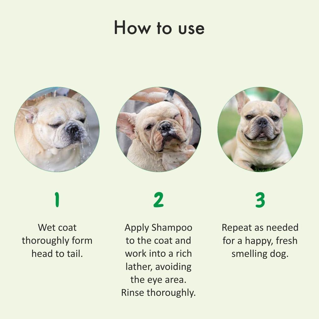 Bscly Deep Nourish Dog Shampoo with Oatmeal & Shea Butter | Dog Shampoo for Pomeranian, Shih tzu Puppy, German Shepherd, Labrador & Golden Retriever, Dogs Shampoo | 200ml