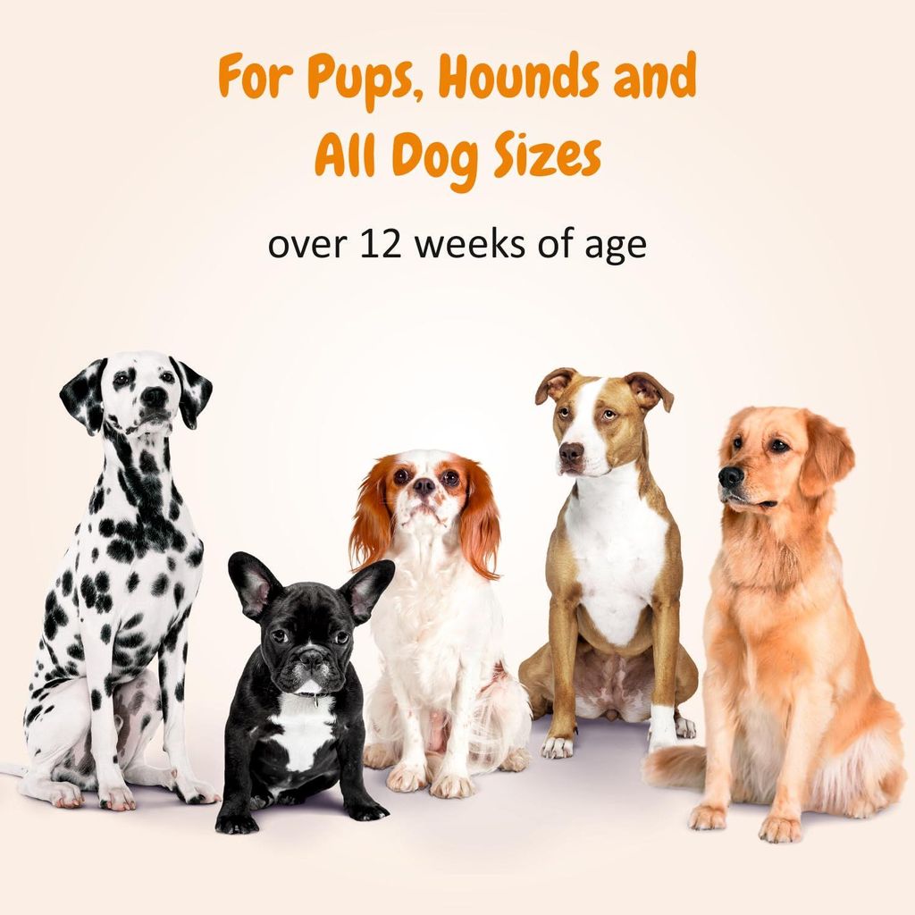 Trespaws Tick & Flea Dog Shampoo with Eucalyptus & Lemongrass | Dog Shampoo for Pomeranian, Shih tzu Puppy, German Shepherd, Labrador & Golden Retriever, Dogs Shampoo | 200ml