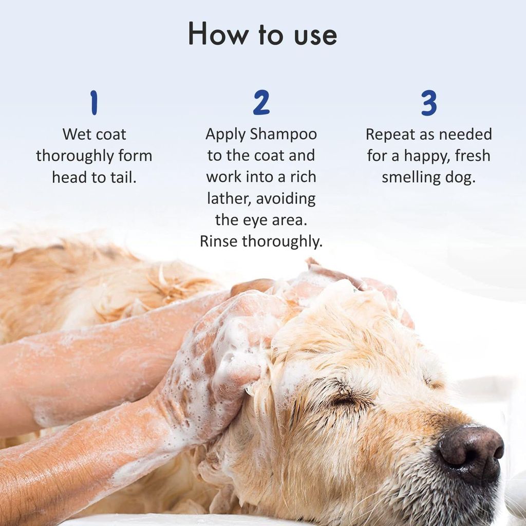 Bscly Tick & Flea Dog Shampoo with Eucalyptus & Lemongrass | Dog Shampoo for Pomeranian, Shih tzu Puppy, German Shepherd, Labrador & Golden Retriever, Dogs Shampoo | 200ml