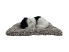... ...