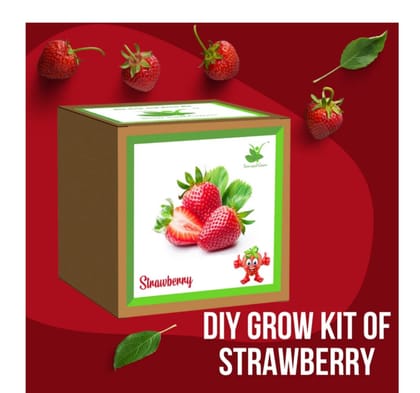 Winter Special: Strawberry DIY Gardening Kit | Grow Strawberries in Pots