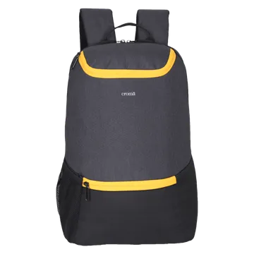 Croma Polyester Laptop Backpack for 15.6 Inch Laptop (21 L, Adjustable Shoulder Straps, Grey)