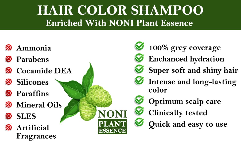 Siso Premium Noni Black Hair colour shampoo 20g Pack of 6 | Ammonia Free hair color for women