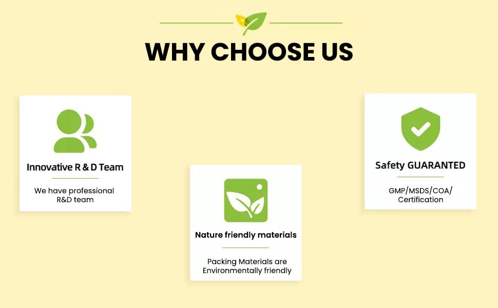 Siso Premium Noni Black Hair colour shampoo 20g Pack of 6 | Ammonia Free hair color for women