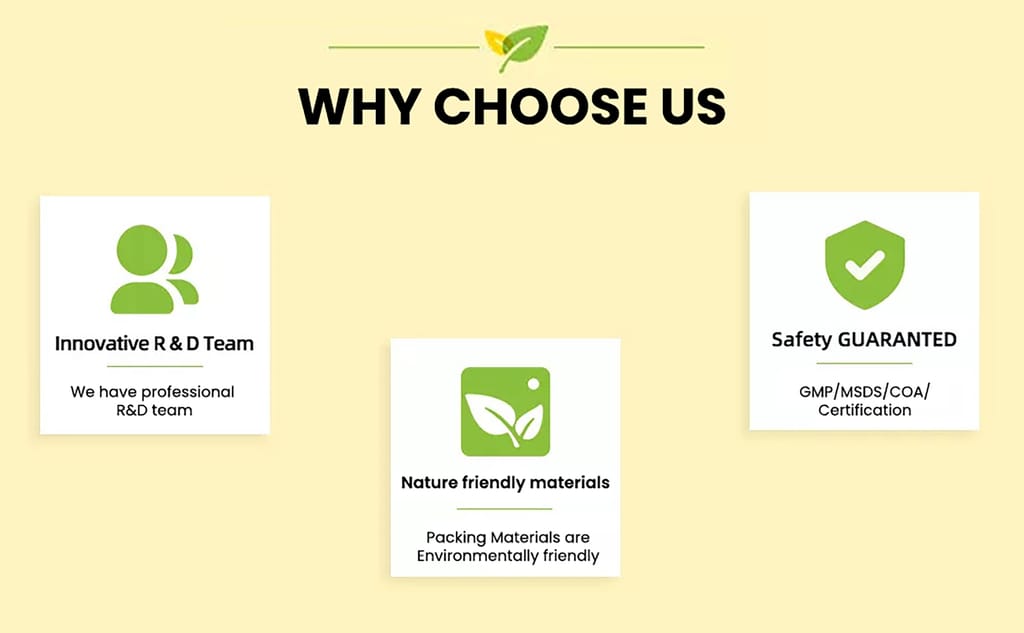 Siso Premium Noni Black Hair colour shampoo 20g Pack of 6 | Ammonia Free hair color for women