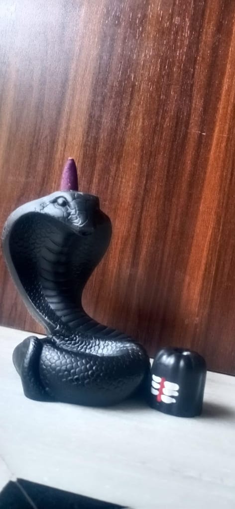 Nag Shivling Backflow Incense Holder: Enhance Your Spiritual Decor with Aesthetic Design, Smoke Fountain and Aromatherapy - Comes with 50 Cones