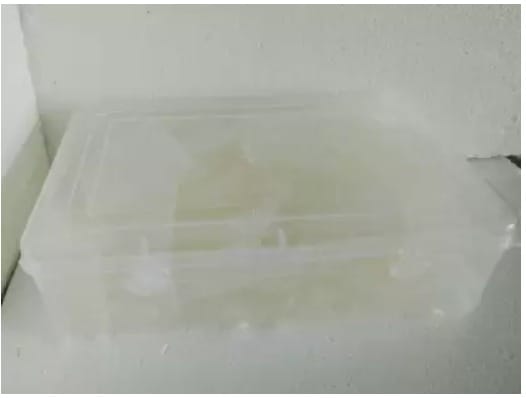 Kavya Organic Soap ,Glycerine Transparent White Soap Base