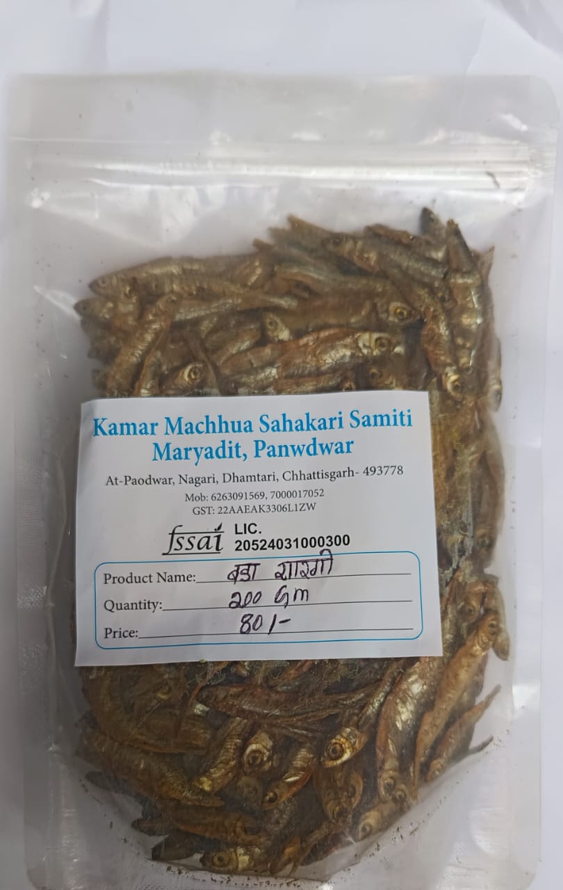 Big Fidder fish(Bada Sarangi)