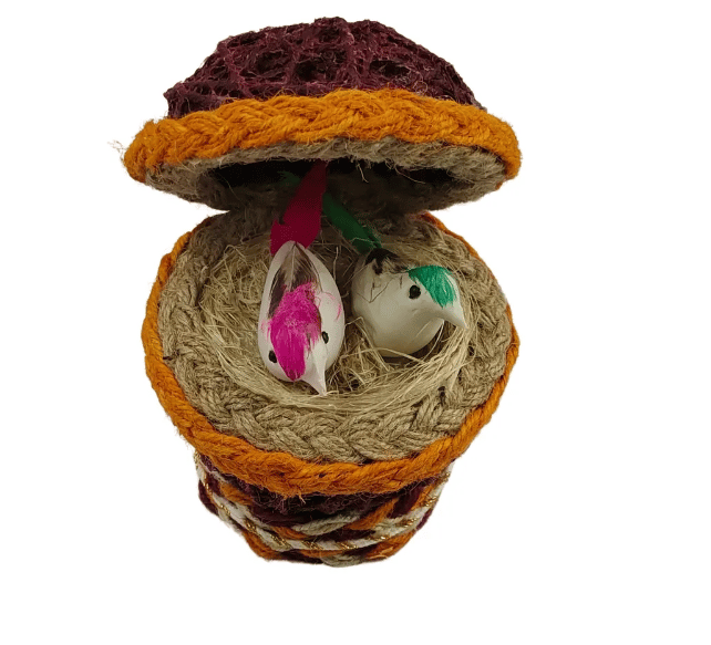 Basket Shell Bird Nest