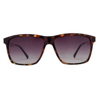 PARIM Polarized Unisex  Rectangular::Wayfarer Sunglasses Brown Frame / Brown Lenses | SKU 1023 T1