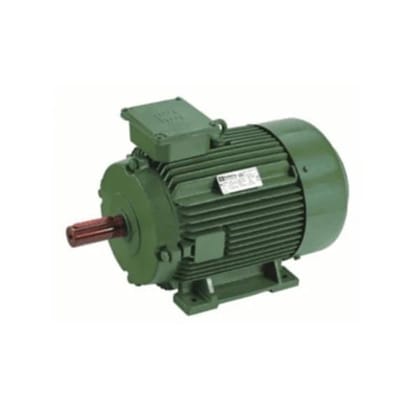 Hindustan 0.50HP 0.37Kw 2P 3000 RPM B3 Fr:71 Foot Mounting IE2 Motor