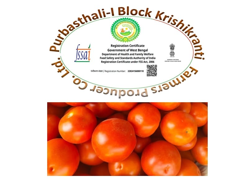 Tomato