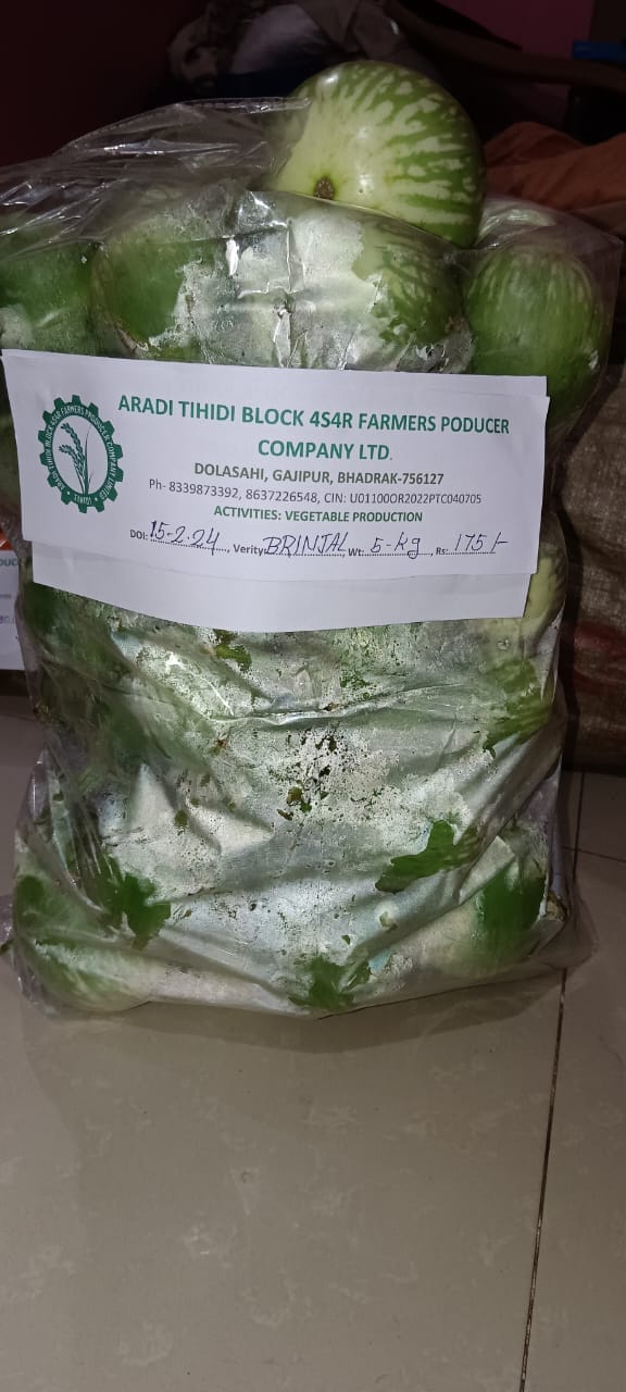 BRINJAL