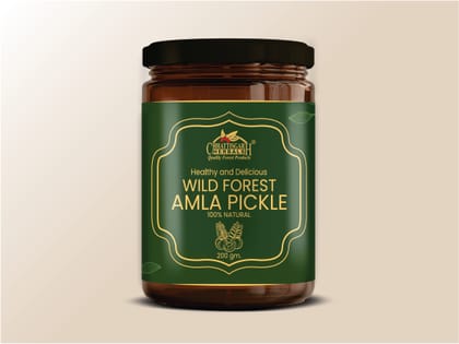 Chhattisgarh Herbals Amla Pickle | 200 gm