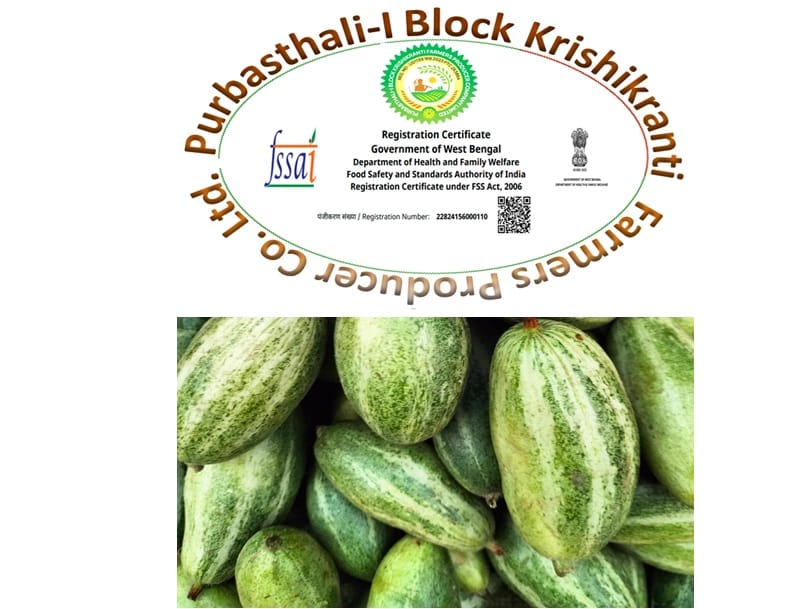 Pointed Gourd/Parwal