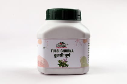 Chhattisgarh Herbals TULSI CHURN 100 GM