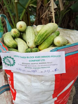 Cucumber