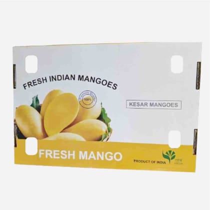 Kesar Mangoes (Pack of 12)