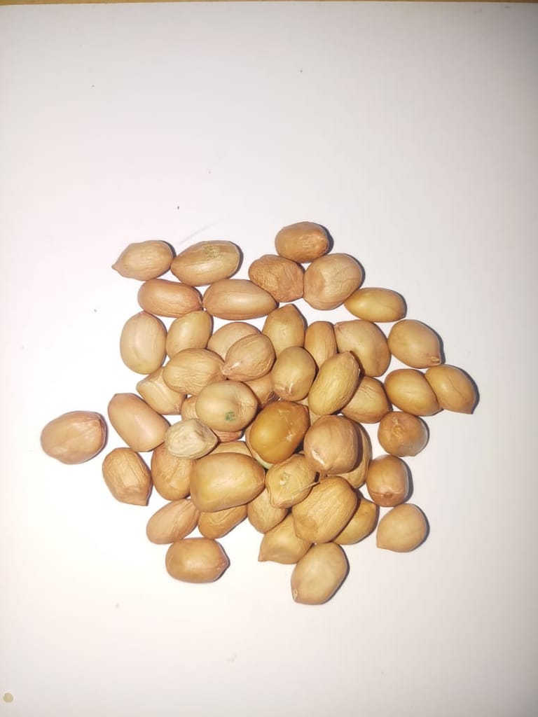 Raw Peanuts