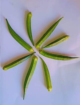 Lady Finger