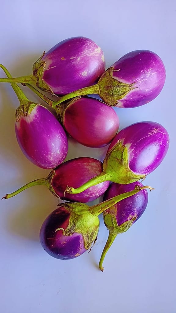 Brinjal