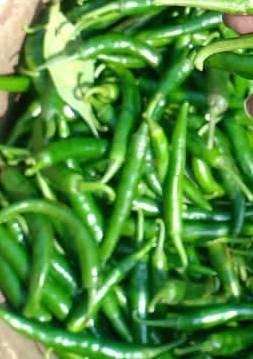 Green Chilli