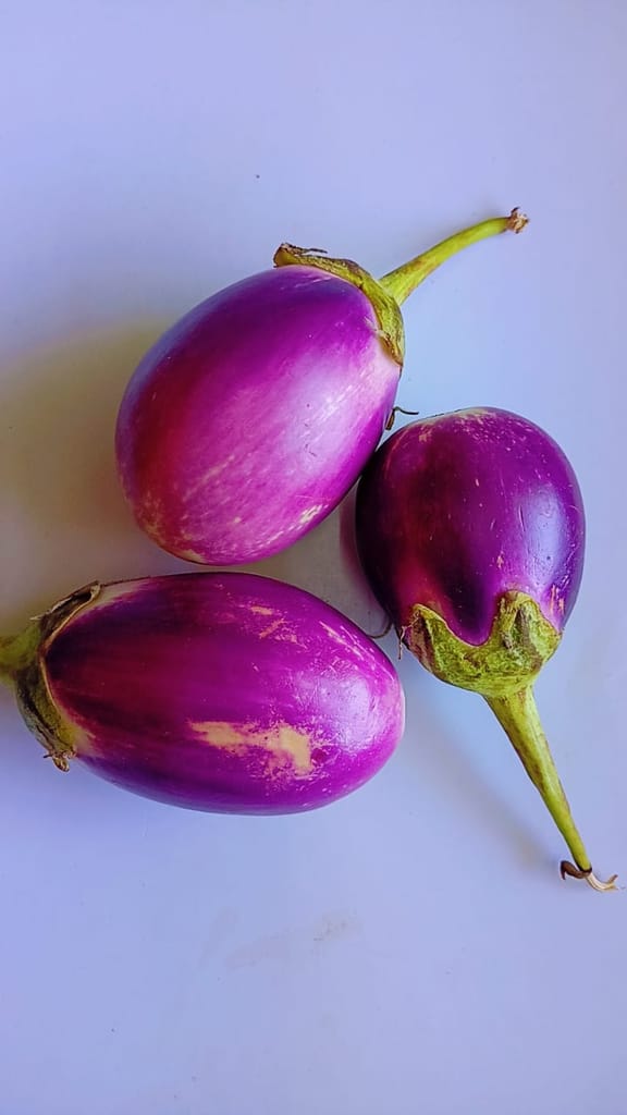 Brinjal