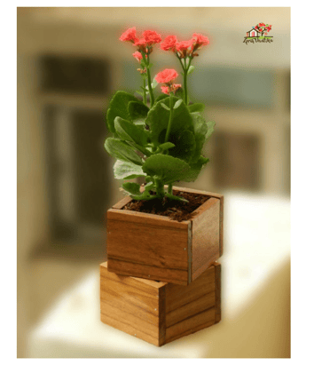 GrihVaatika Premium Teak Wood Wooden Small Table Planter for Indoor Outdoor Plants for Office Home Balcony Living Room Area, Brown, 4 x 3.5 x 2.7 Inch, (Pack of 2)
