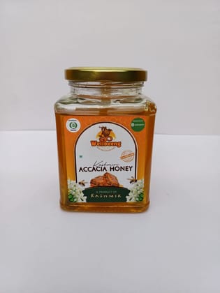 Wellbeeng Kashmiri Accacia Honey