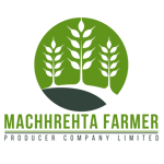 Machhrehta Farmer Producer Company Limited