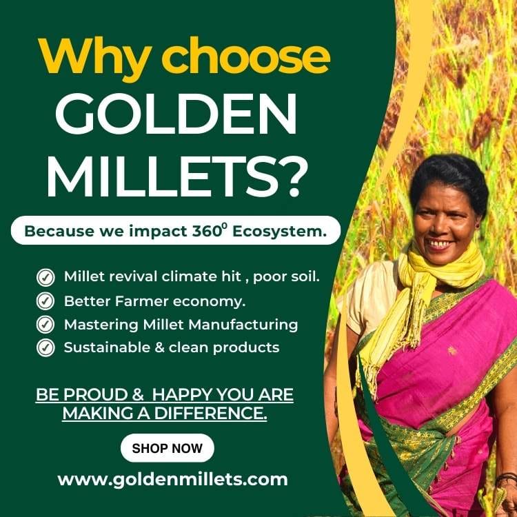 Golden Millets High fibre Pasta Combo | No Maida | Kids Friendly Pasta | Foxtail Millet Pasta | Little Millet Pasta | Barnyard Millet Pasta | Penne Pasta With Tastemaker Pack of 3,450g