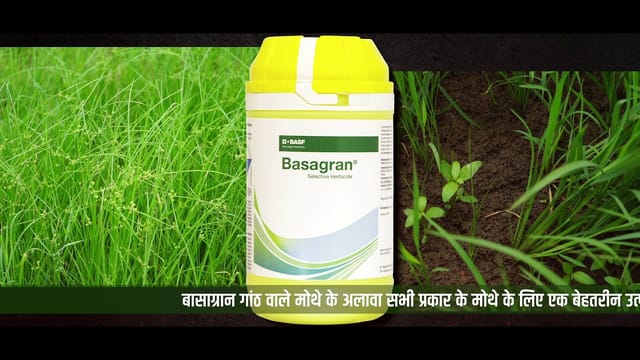 Basagran Herbicide