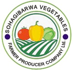 SOHAGIBARWA VEGETABLES FED FARMER PRODUCER COMPANY LIMITED