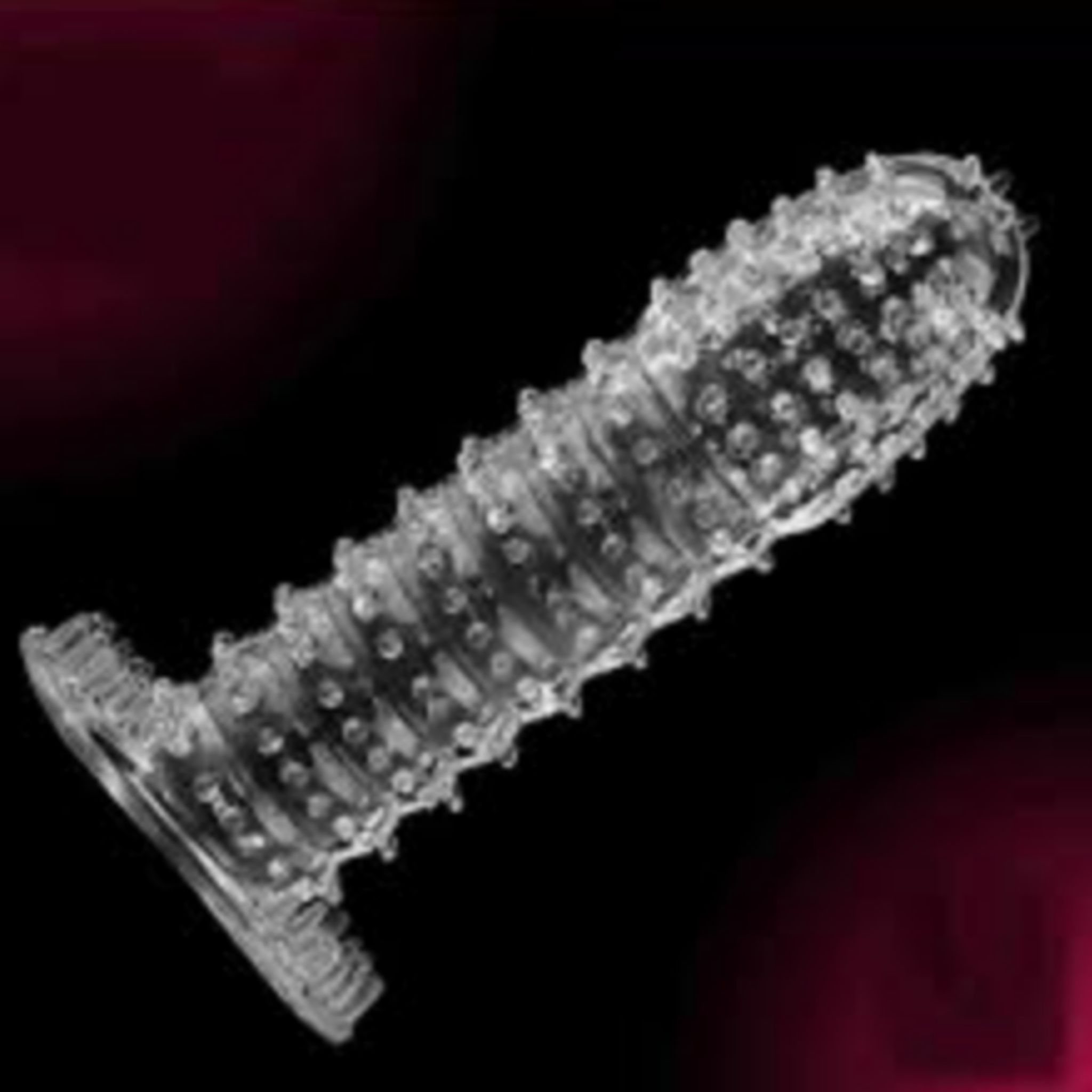Qawvler Crystal Dotted Reusable Condom Silicone Dragon Condom (Pack of 1)