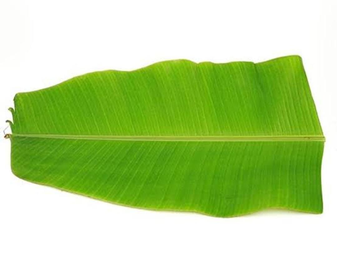 Banana Leaf 