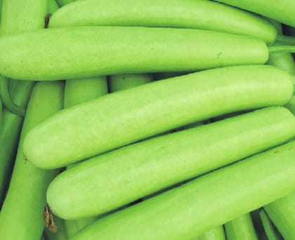 bottle gourd