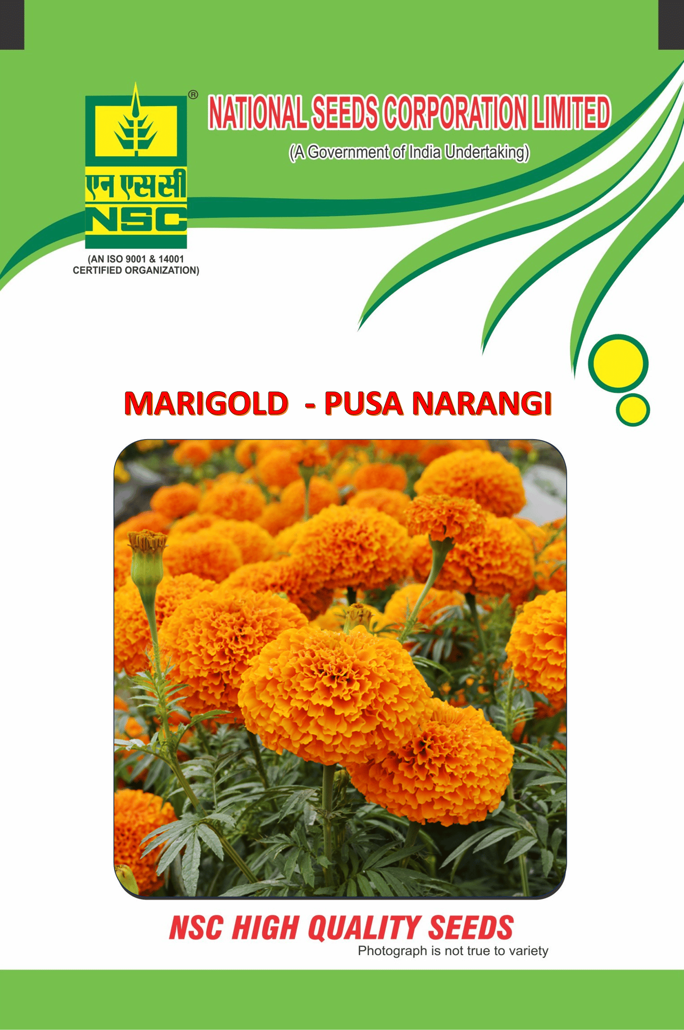 NSC Orange Marigold Flower Seed, Variety: Pusa Narangi , 10 gm